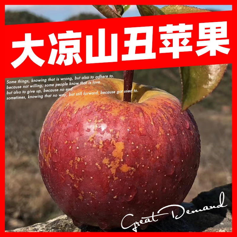 四川大凉山丑苹果冰糖心脆甜3/5/8斤红富士水果新鲜苹果整箱