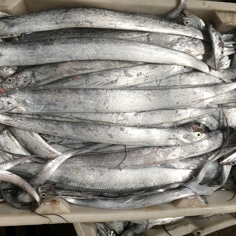 1 吕四小眼带鱼   统货发（会有破肚）