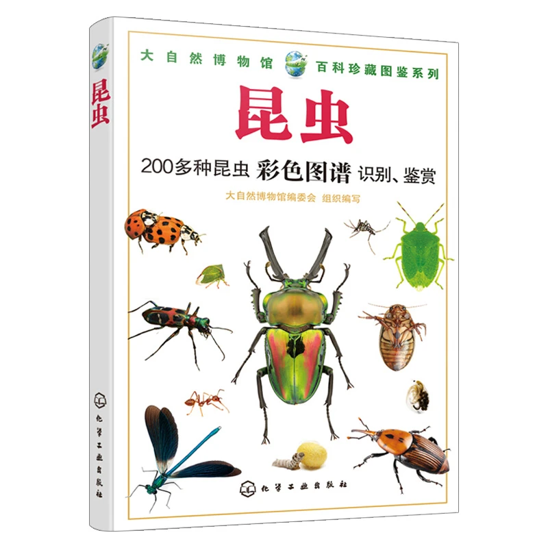昆虫 精美昆虫百科图鉴 虫昆虫大自然科普百科博物馆图鉴百科书