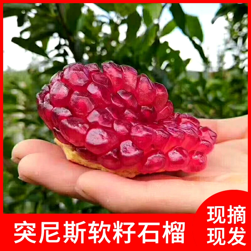 云南大理正宗突尼斯软籽甜石榴新鲜孕妇水果当季水果5斤10斤包邮