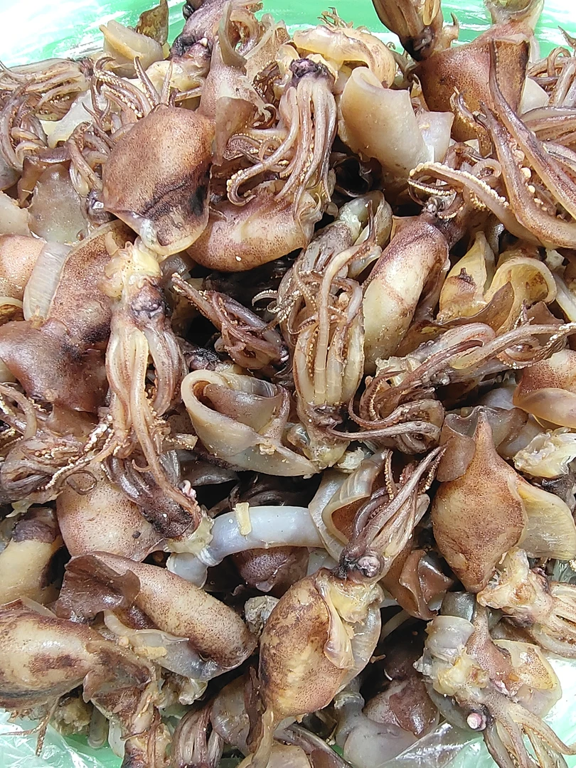 【顺丰包邮】青岛 船歌舵语 甜晒去脏笔管500克（八成干）