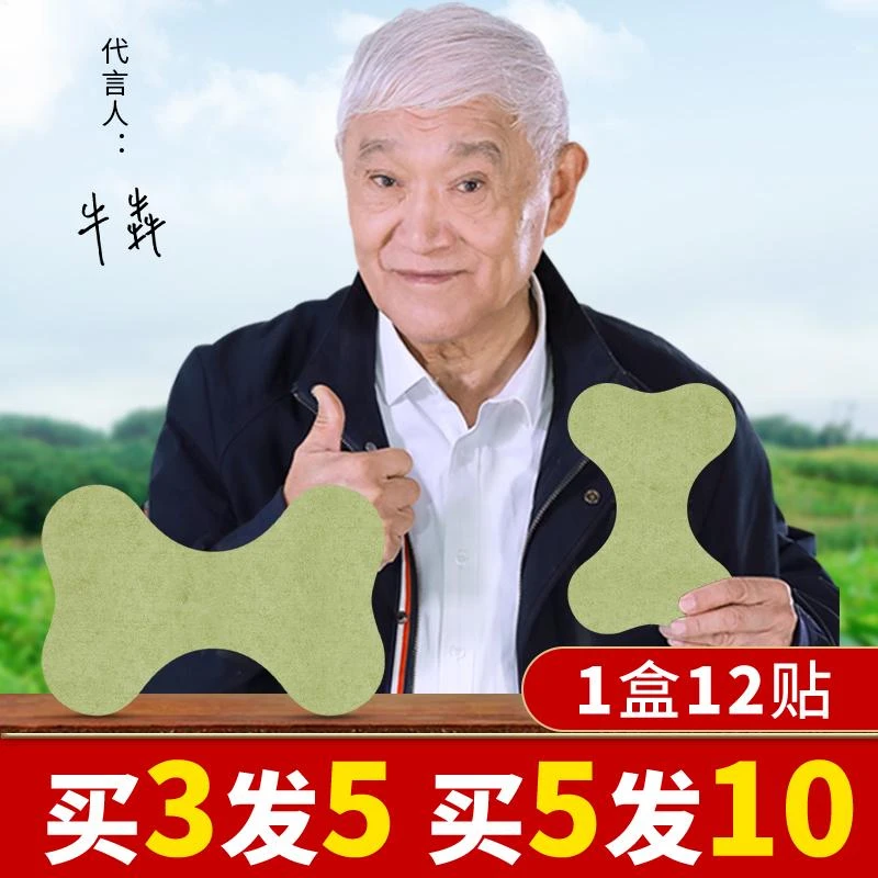 【百年扁氏】BT003 艾草贴 牛犇朱时茂力荐 温和养护 便携无烟