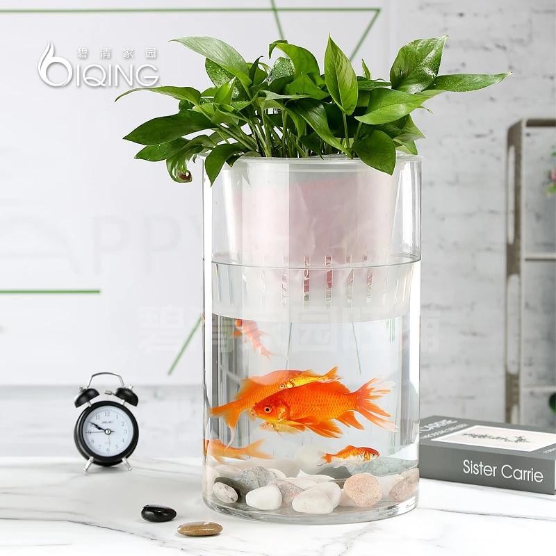 大号落地玻璃花瓶大口径直筒透明简约光滑高品质精致色彩生活时尚