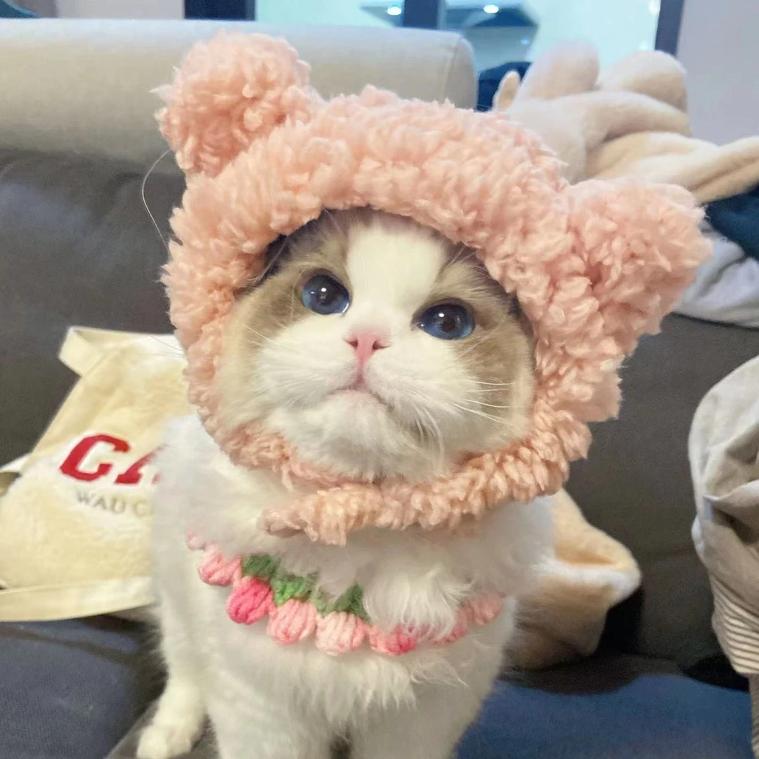 猪大虫同款可爱小熊耳朵猫咪帽子头饰生日装扮宠物头套狗狗拍照