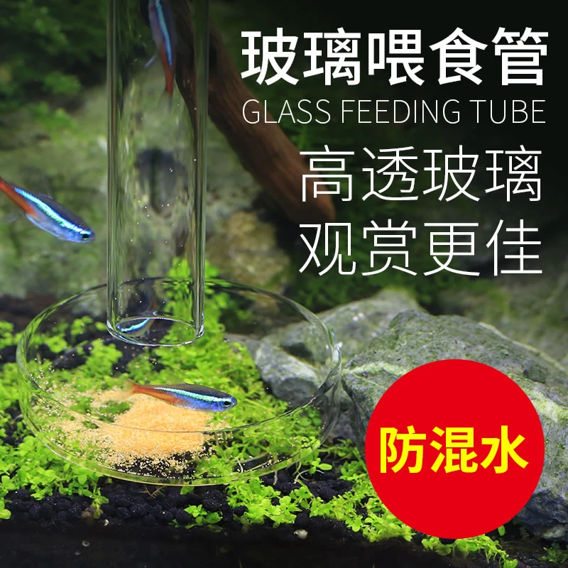 森森鱼缸高清玻璃定位喂食器金鱼虾小型投食管亚克力下沉防飘散