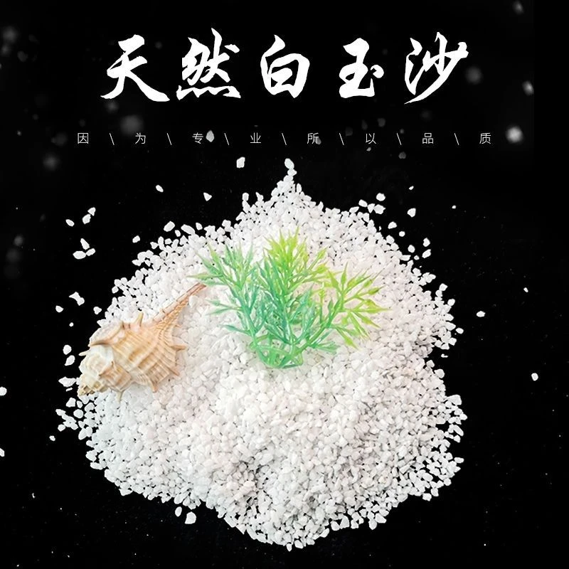 天然石英砂白沙小石子白玉沙园艺造景多肉铺面营养土鱼缸底沙展示