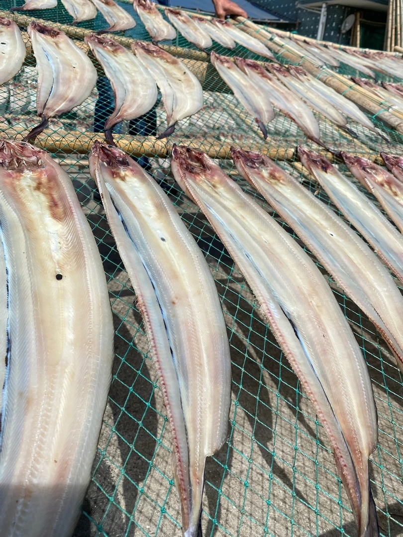 东海石浦鳗鱼鲞，两斤/份