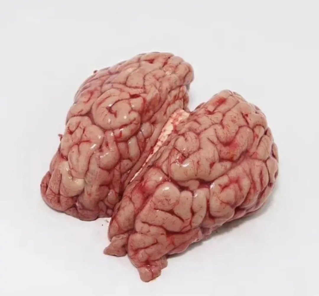 连云港发货 小黄牛 生牛脑 2只装