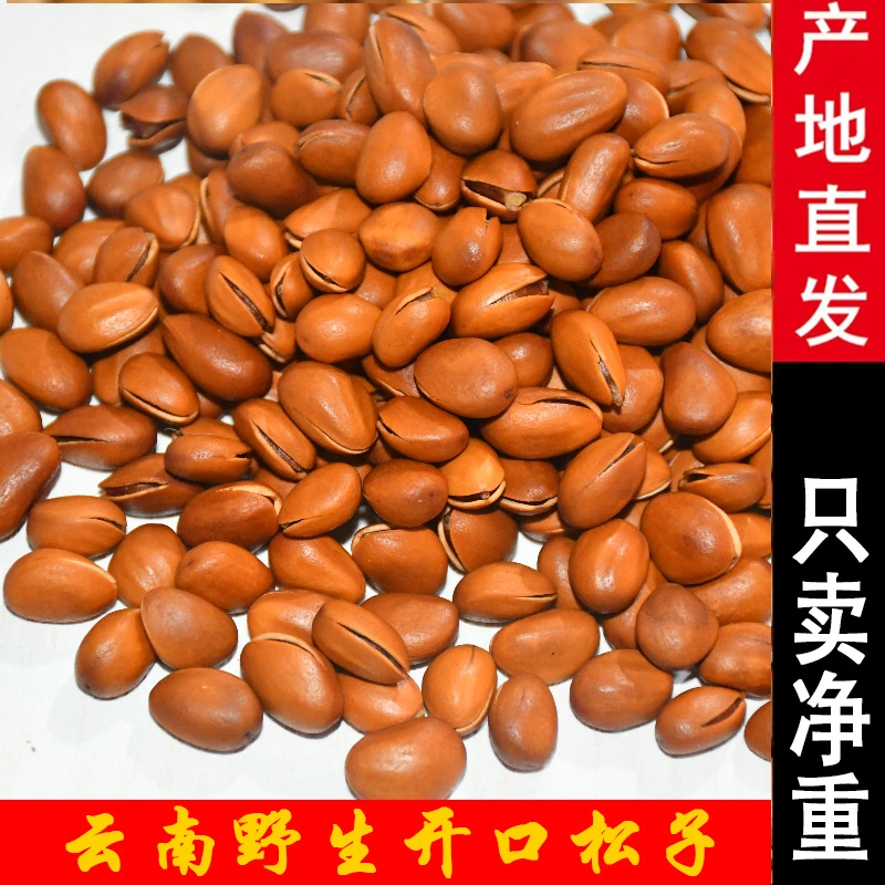 滇味道2024新货云南开口熟松子颗粒饱满手剥松子香味500g
