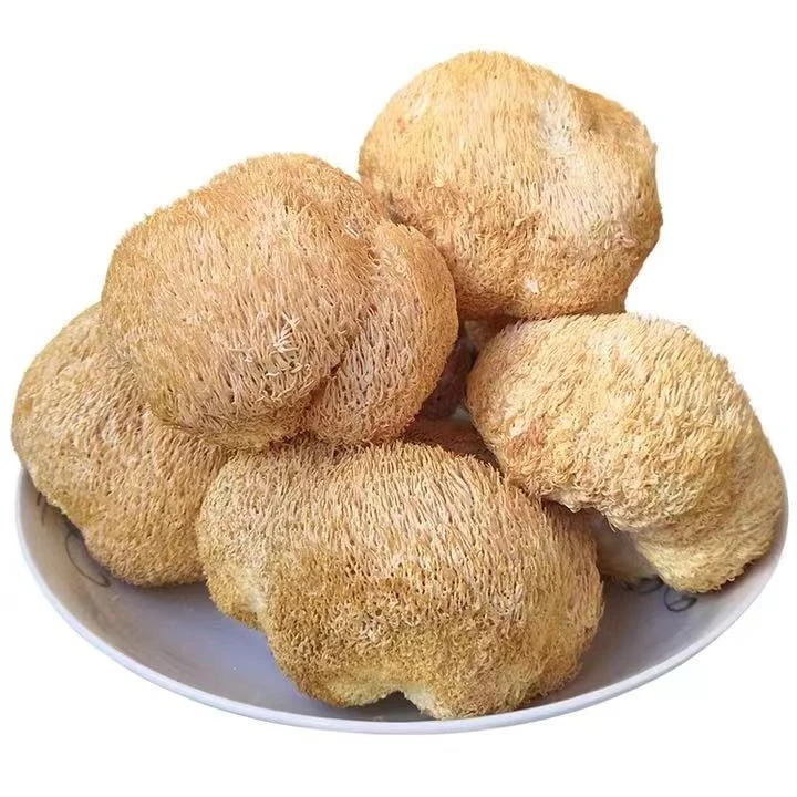 古田高山猴头菇当季菌菇500克美味新鲜