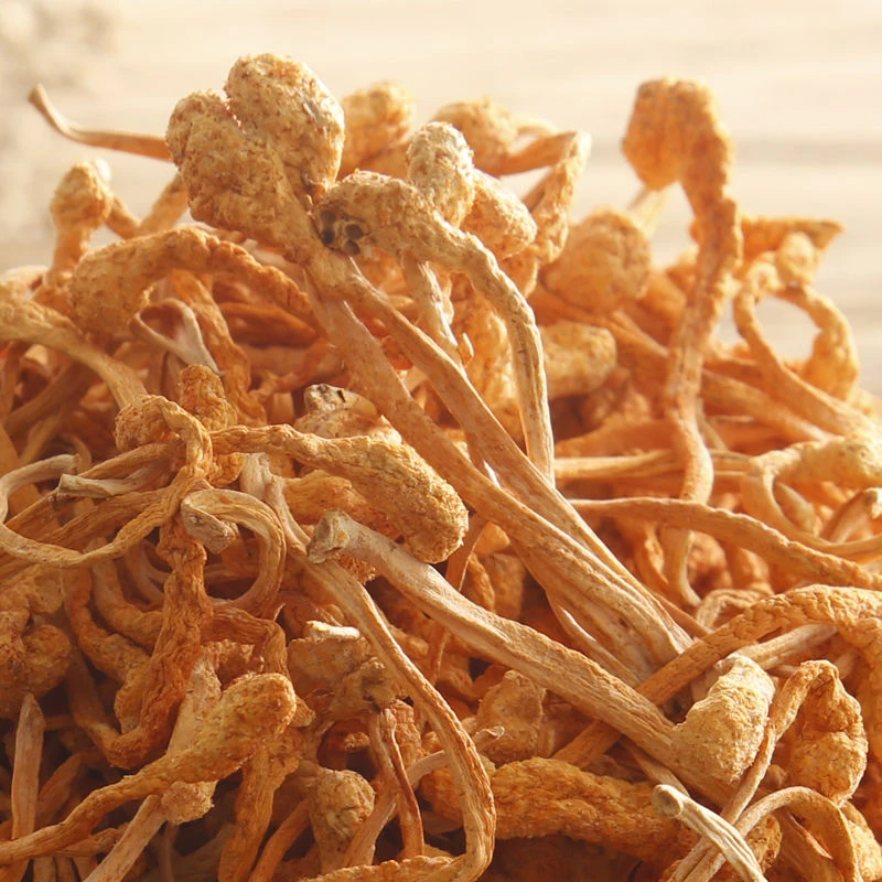 福建虫草花农家金从草干货50克/250克食用菌菇煲汤新鲜新货