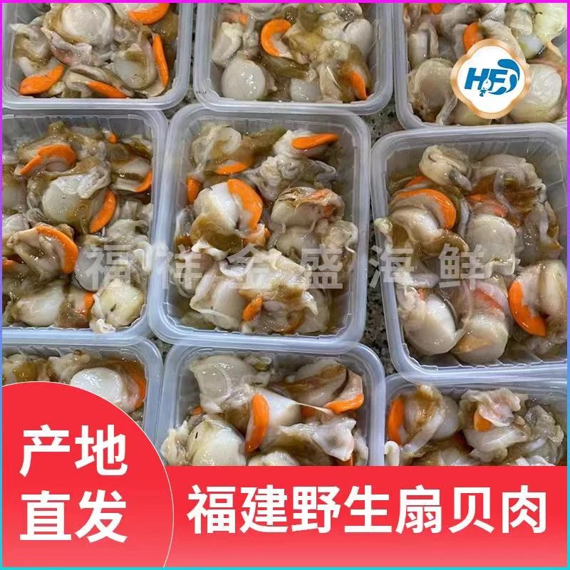 福建地区野生海鲜扇贝3斤起寄顺丰