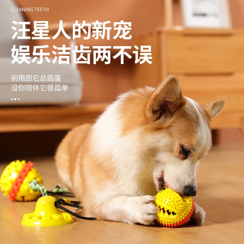 kimpets狗狗玩具耐撕咬磨牙解闷神器耐咬吸盘拉力漏食球狗玩具