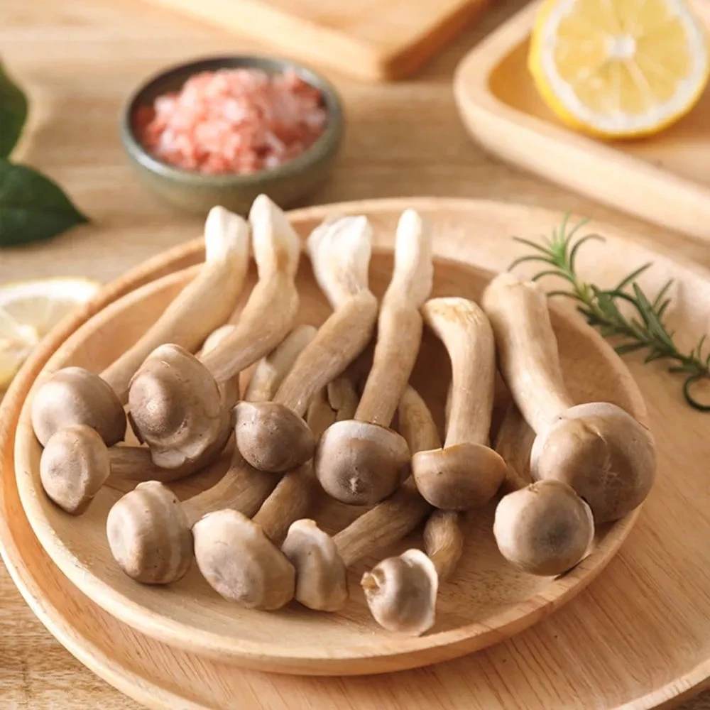陆茸菇脆脆菇50g-500g新鲜干货庆元菌菇非火锅配菜鹿茸菇脆嫩香脆