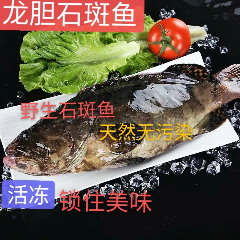 苏州发货新鲜冷冻石斑鱼 龙胆 老虎斑 珍珠斑400g以上/条全国包邮