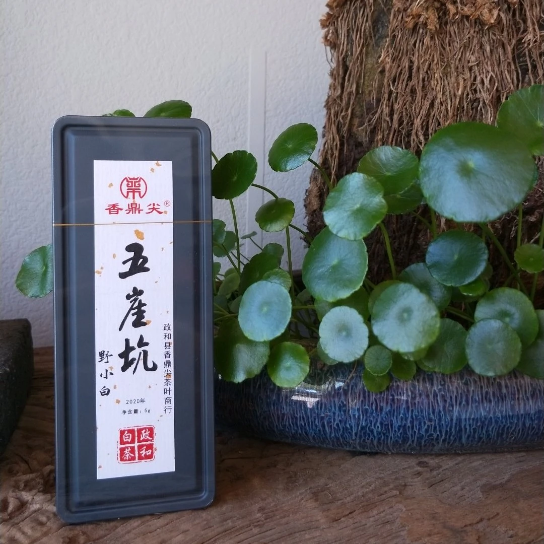 香鼎尖野小白2020五崖坑野小白 贡眉10g