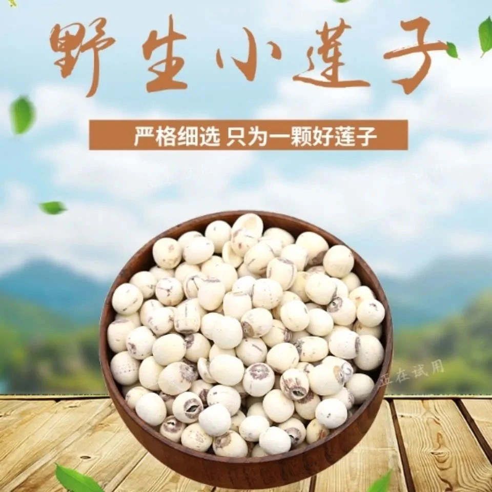 湖北特产洪湖农家磨皮去芯干莲子100g/250g/500g包邮