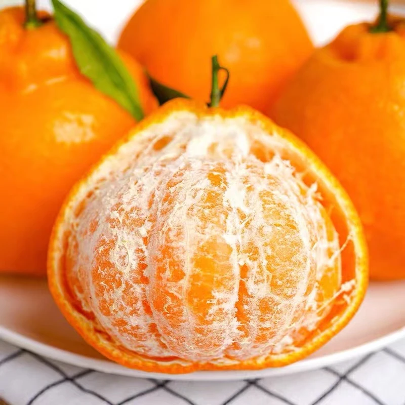 【现摘现发 皮薄多汁】四川春见耙耙柑  5/8斤 新鲜水果