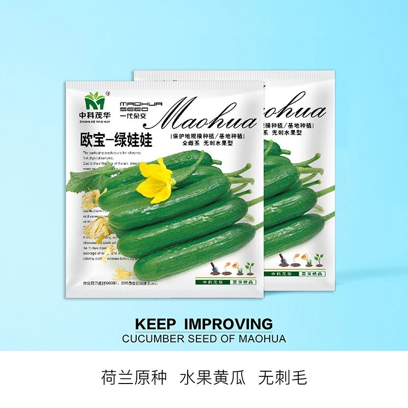 中科茂华蔬菜种子欧宝绿娃娃荷兰水果黄瓜种子无刺小黄瓜全雌一叶