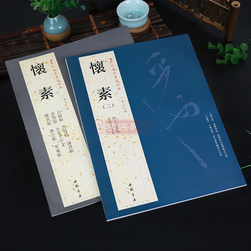 共2本10帖怀素1-2历代名家书法王冬梅繁体旁注自叙帖论书帖小草千