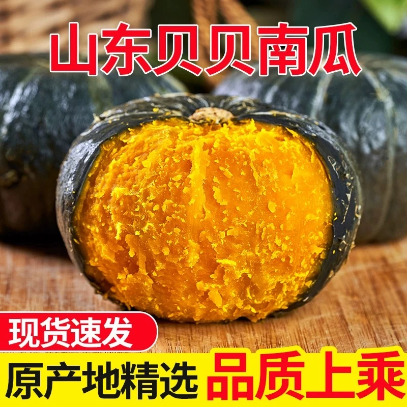 【粉丝专属】山东真贝贝南瓜板栗味粉糯香甜 孕妇儿童辅食1/3/5斤