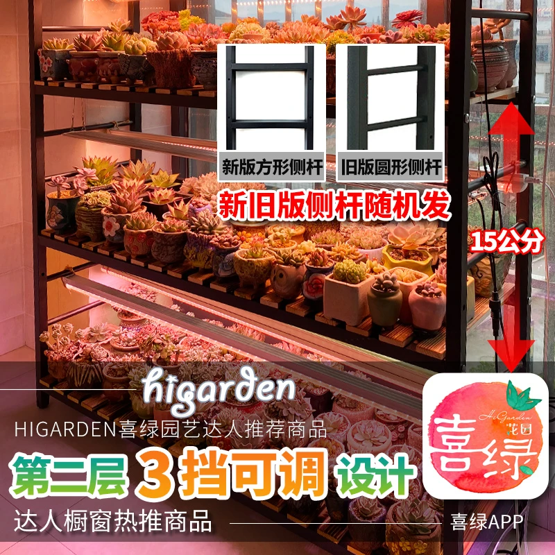 【小惜推荐】喜绿多肉植物实木花架多肉铁艺多层客厅阳台室内 C