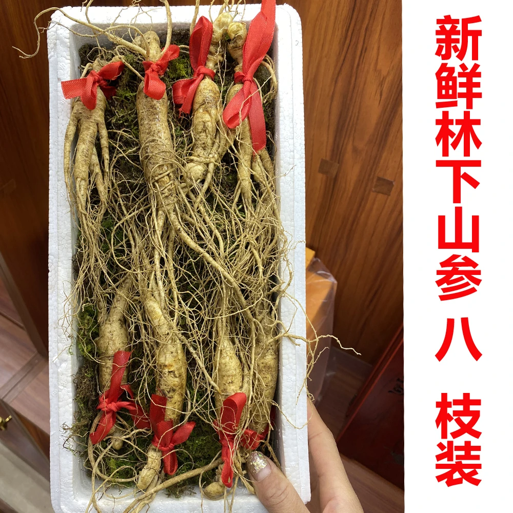 长白山新鲜林下山参8枝装 泡酒煲汤东北人参食用鲜参营养