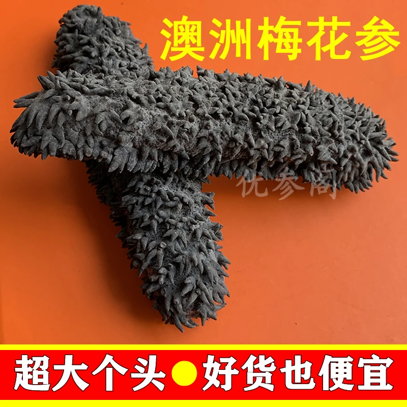 澳洲梅花参天然野生海参干货冷水深海淡干刺参250-500g非即食辽参
