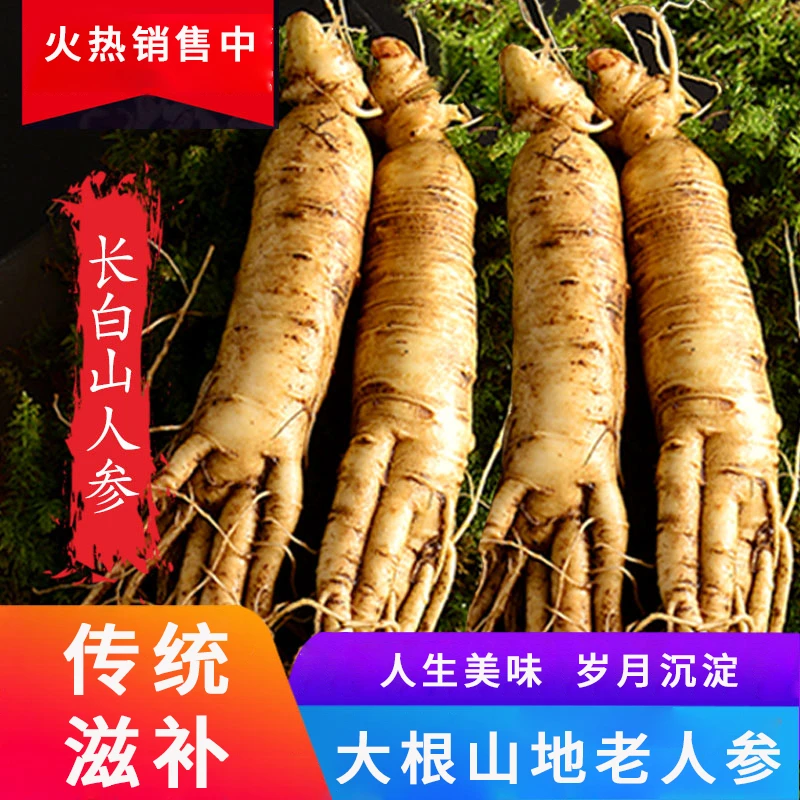 【产地直发】250g长白山新鲜人参带土鲜参林下参 保鲜参煲滋补汤
