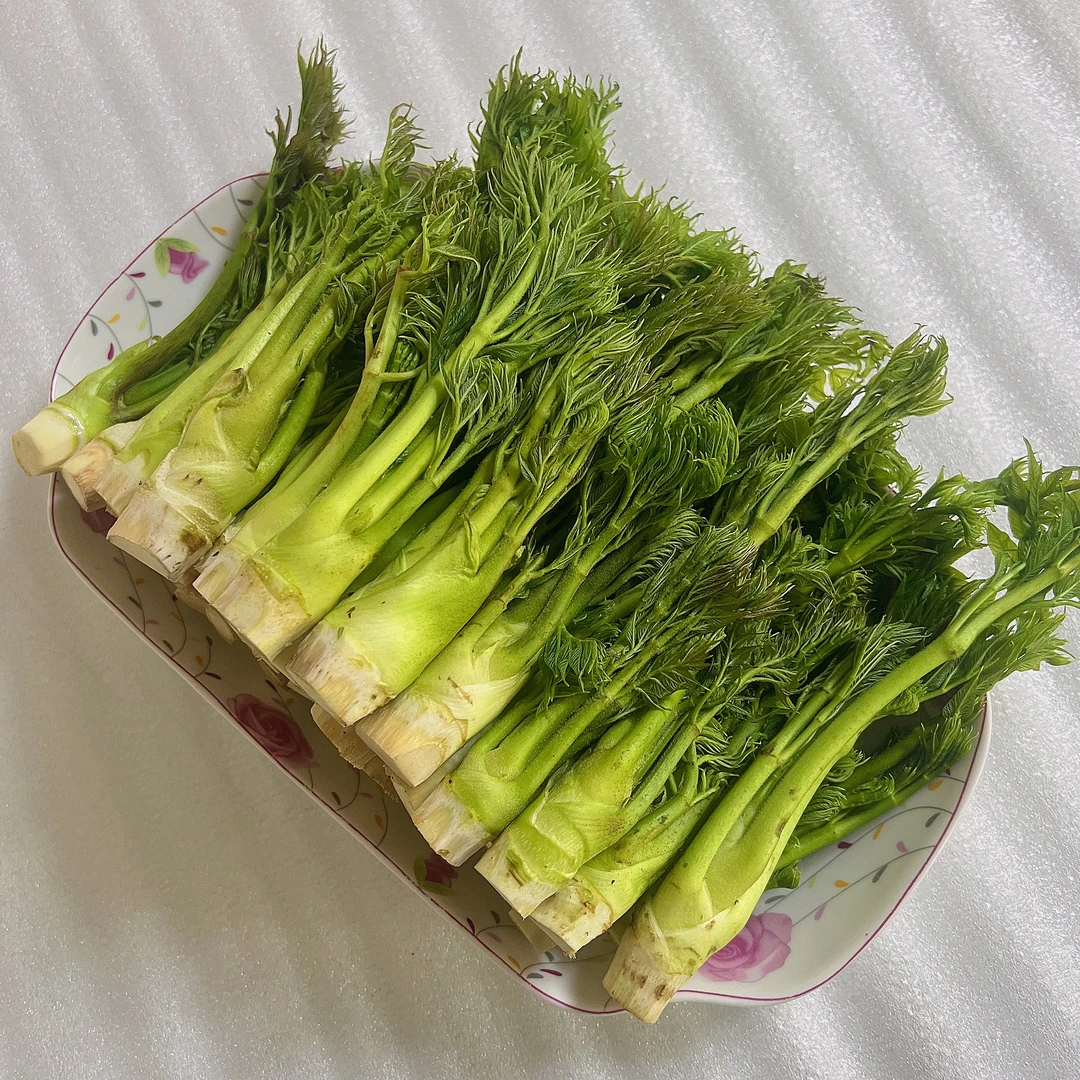 东北山野菜新鲜刺嫩芽精选优等净菜2/3斤装
