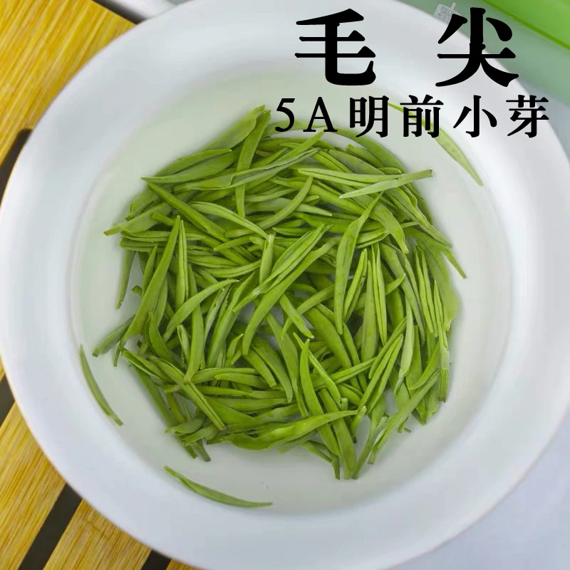 2025明前信阳毛尖新茶全芽尖绿茶明前嫩芽尖250g/500g