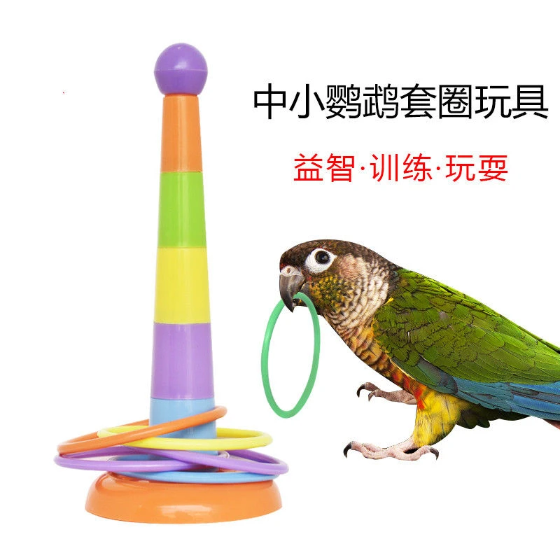 虎皮玄风鹦鹉益智玩具套圈 塑料彩色圈叠叠乐训练啃咬 套球圈