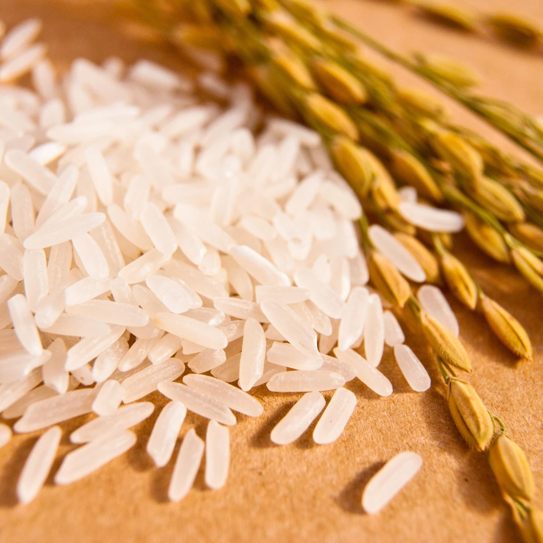 2024年新米稻花香2号 真空2斤*5块   东北吉林万昌产地直发