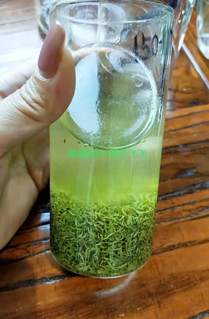 信阳毛尖明前碎茶500g