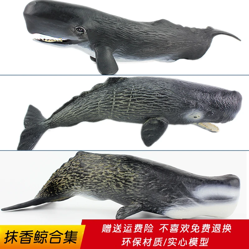 仿真海洋生物模型大号抹香鲸玩具鲸鱼实心海底世界儿童认知摆件
