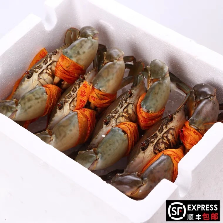 阿伟家专属套餐三门青蟹包肥包活肉蟹3斤装 5-8只公蟹 不能放冰箱