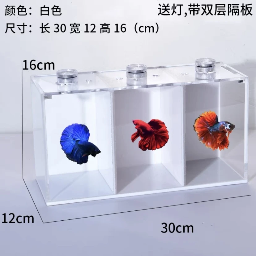 斗鱼鱼缸泰斗国斗观赏鱼亚克力水族箱办公桌迷你造景创意生态乌龟