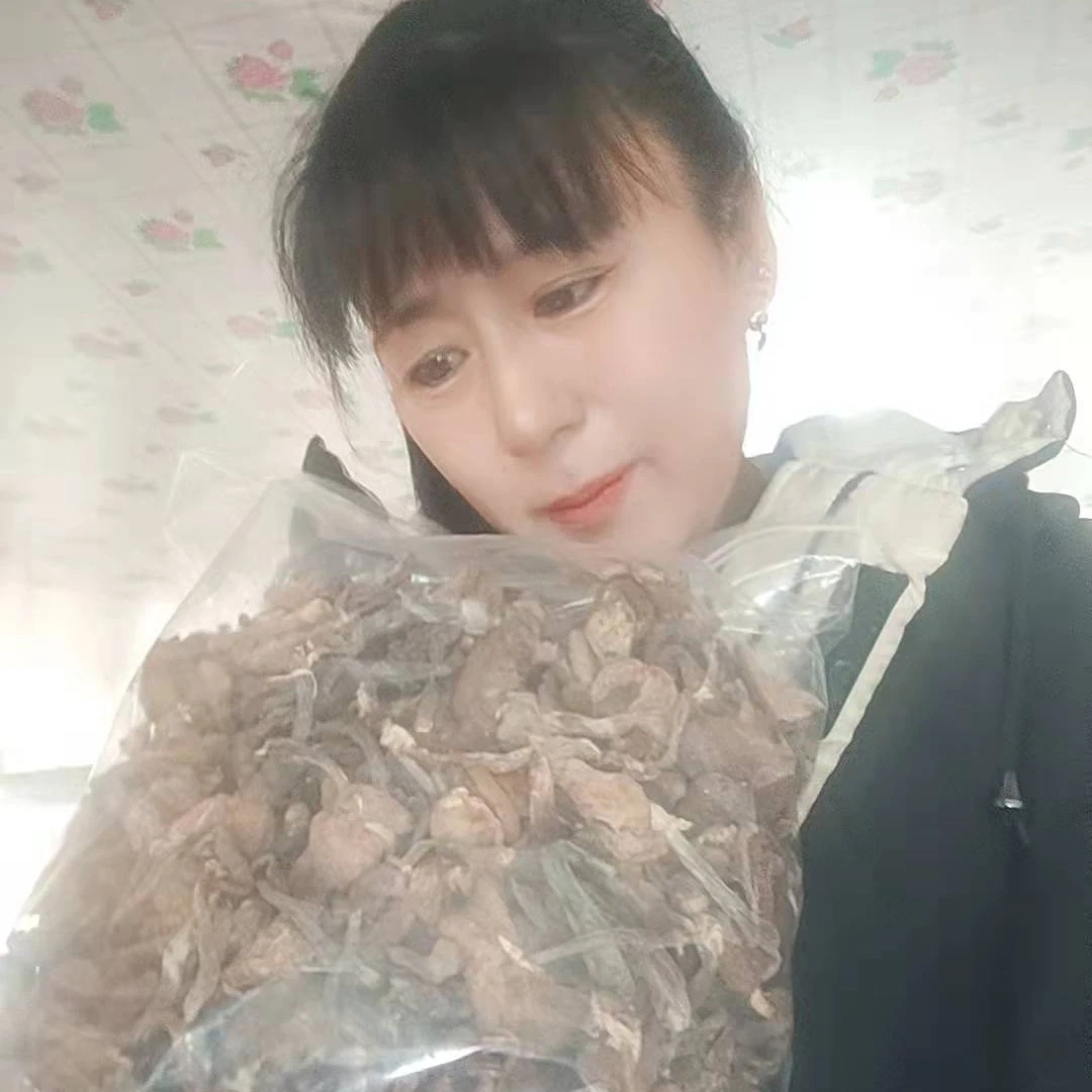 野生榛蘑 山上纯野生榛蘑