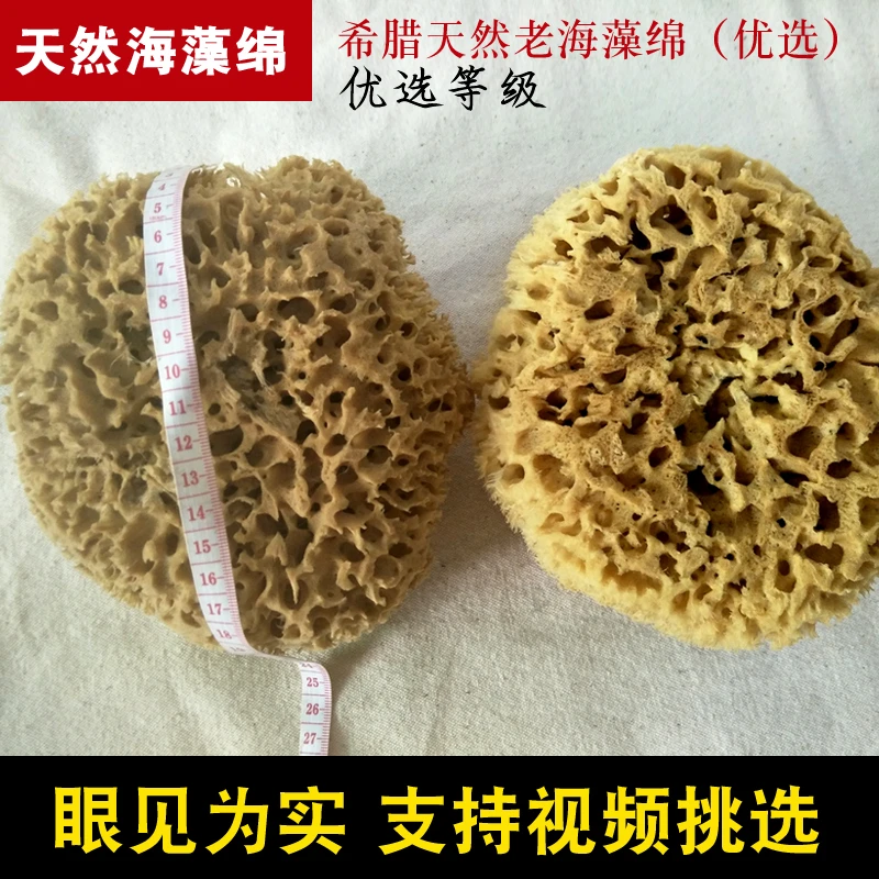 优选希腊天然海藻绵蜂窝海藻棉三色珠光海绵拍艺术漆涂刷海棉工具