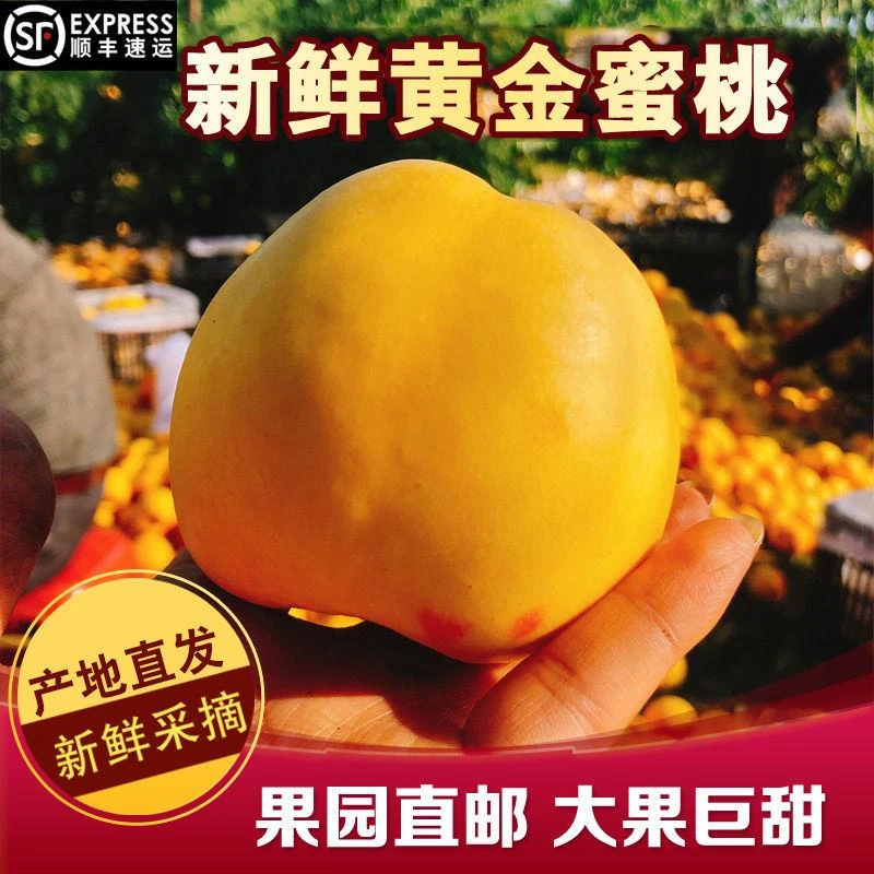 2022新鲜黄金密桃油桃芒果桃硬吃脆甜软吃爆汁净重3.5斤5斤