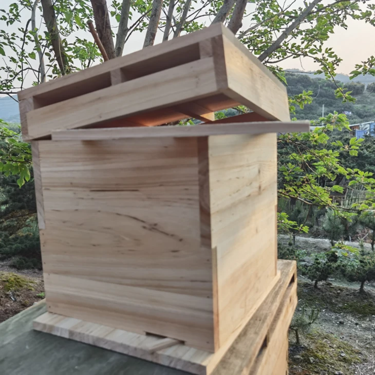 小蜂箱交尾箱杉木蜂箱中蜂箱格子箱蜜蜂蜂具包邮养蜂工具