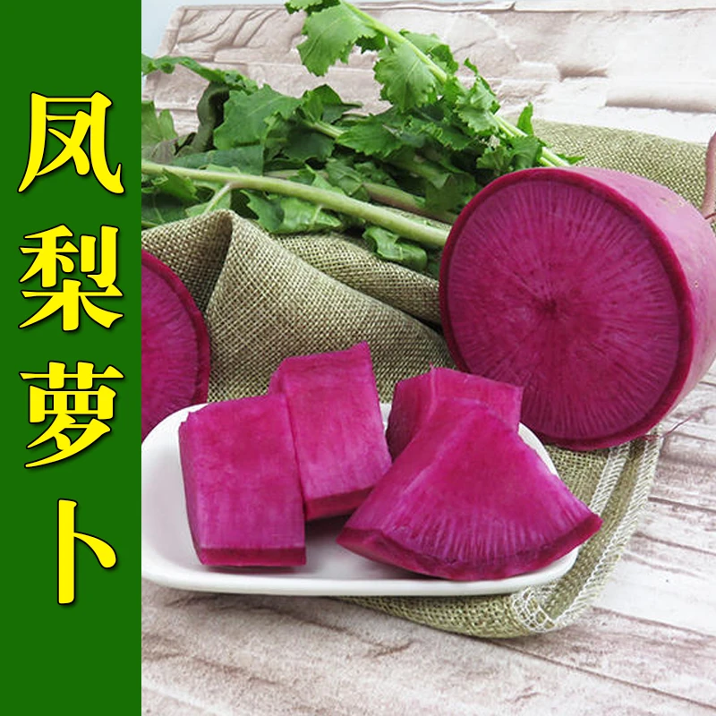 凤梨萝卜种子 水果萝卜种籽 紫皮紫肉秋播 萝卜种孑 蔬菜种子四季