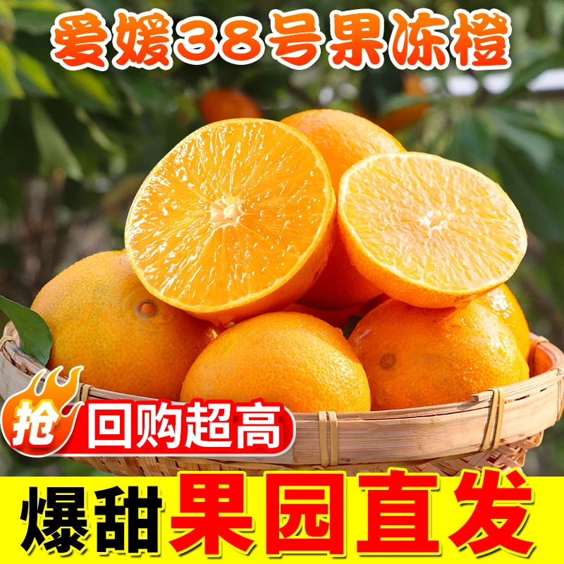 【新鲜采摘】四川爱媛38号果冻橙4-8斤手剥甜橙子新鲜应季水果包邮