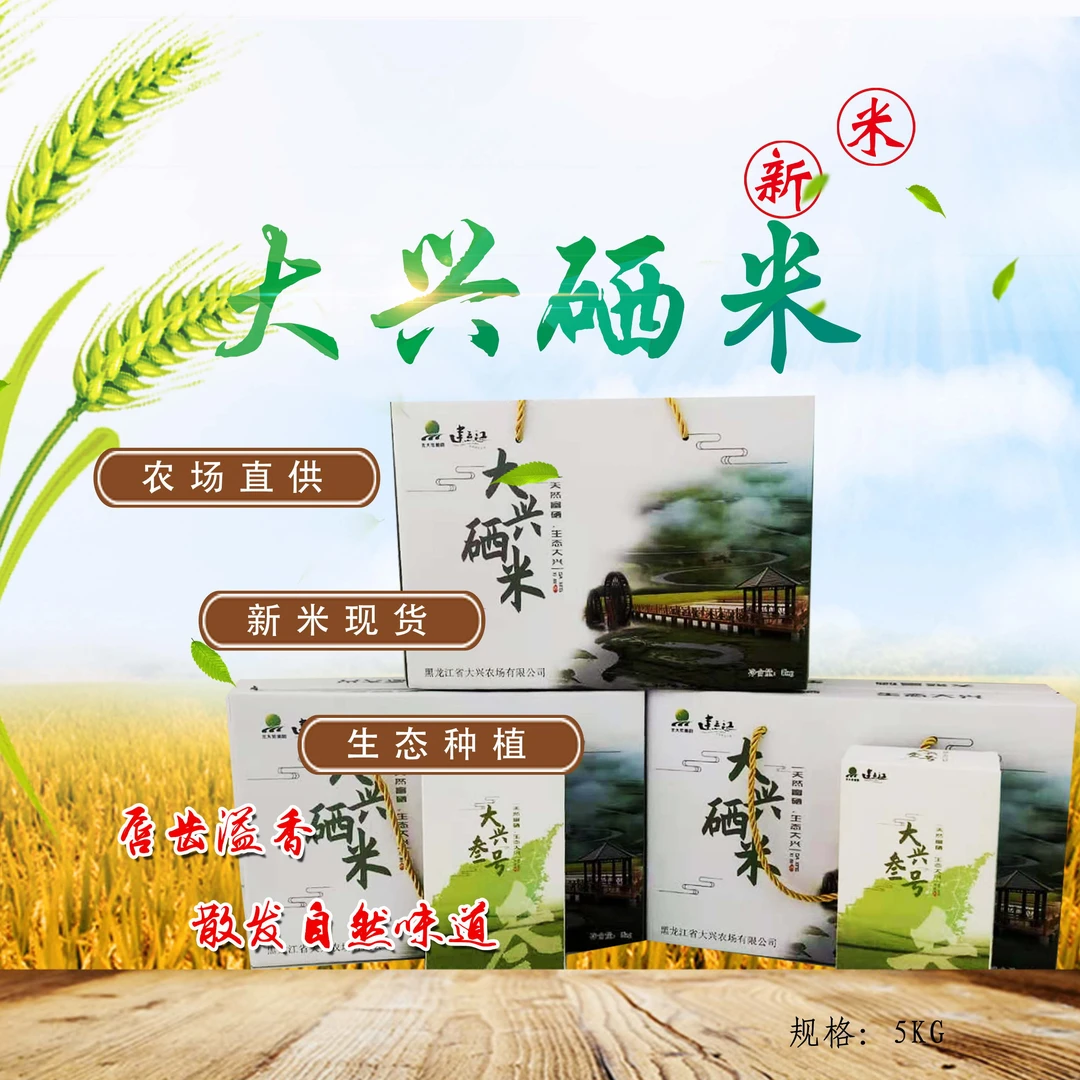大兴硒米5kg 黑龙江东北当季新米建三江长粒鲜米