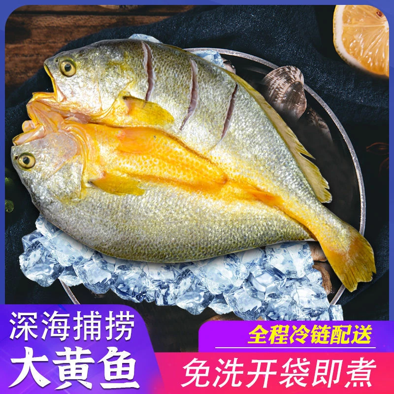 【6+2条】浙江温州黄鱼鲞黄花鱼大黄鱼黄瓜鱼±200克/条