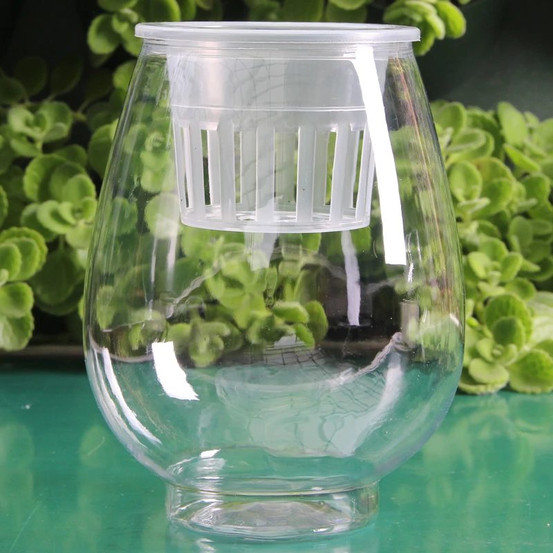 10口径专用透明水培塑料花瓶器皿绿萝植物容器于室内桌面摆放花盆