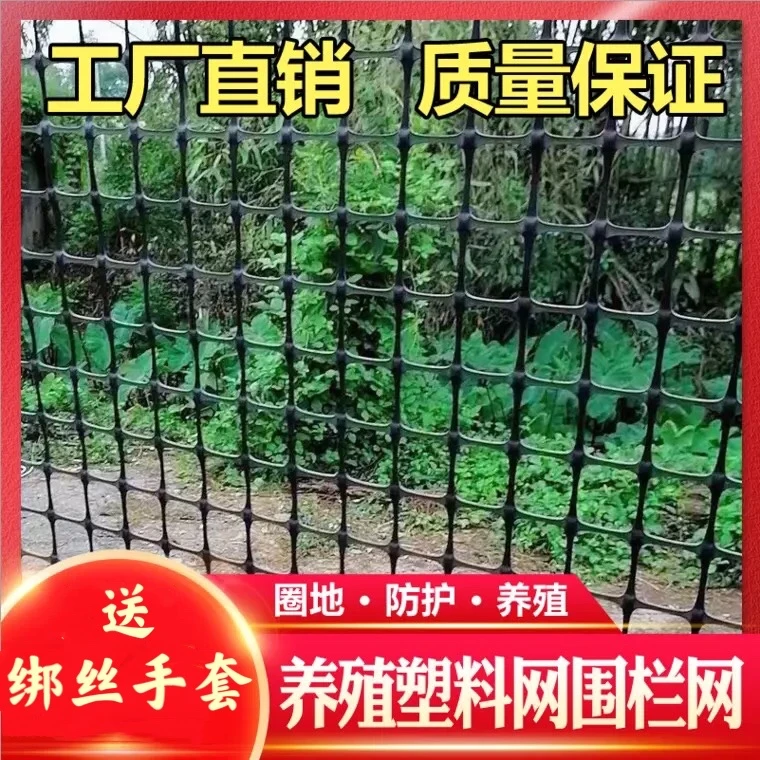 普通款3厘米孔塑料网养殖围栏网防护网果园圈地网土工格栅漏粪网