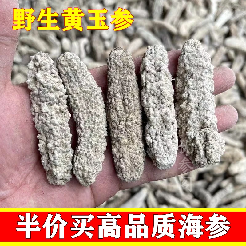 野生黄玉参干货天然黄肉海参淡干白黄玉水发刺王参50-500g包邮