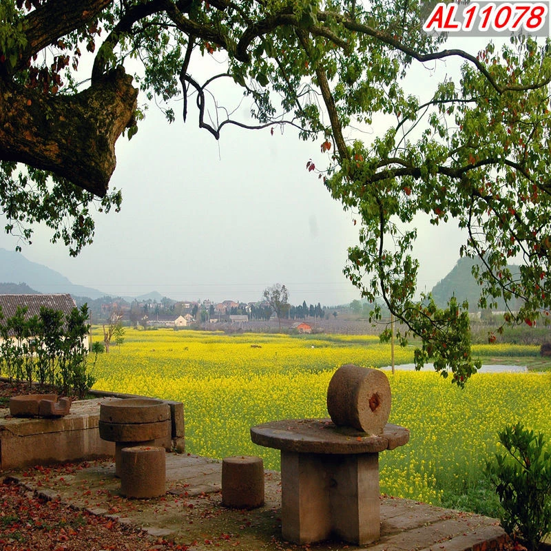 【如霜推荐】主播直播间背景布农村老旧房子地立体背景墙布墙纸温馨