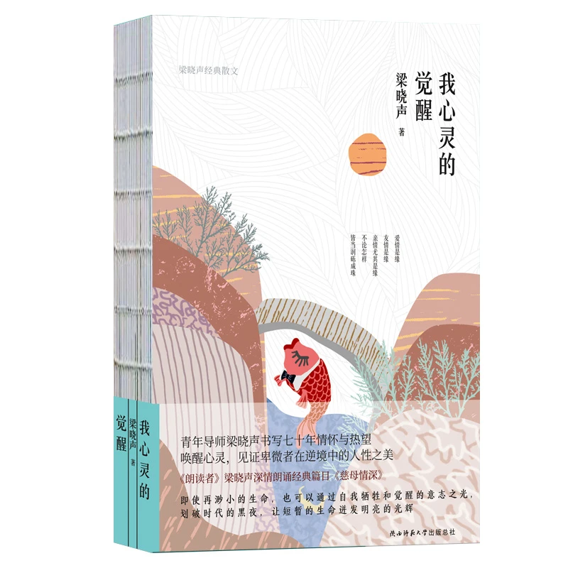 zb梁晓声《我心灵的觉醒》